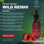 Wild Red Reishi Stress Buster 50ml